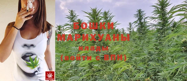 прущие крисы Покачи